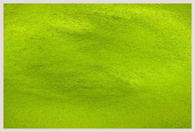 Matcha Green Tea Powder