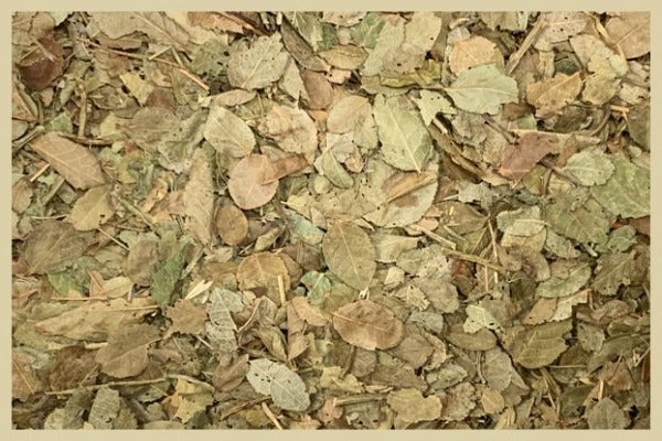 Organic Bilberry Leaf