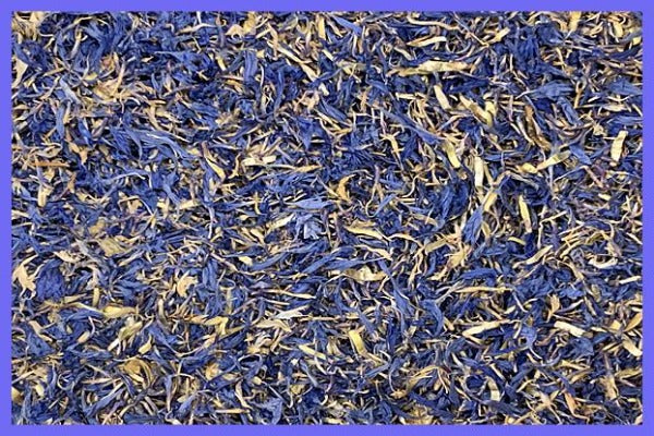 Organic Blue Cornflowers