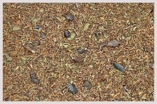 Organic Chocolate Mint Rooibos