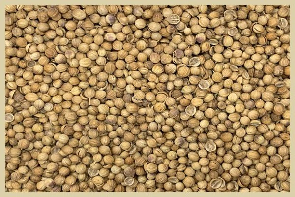 Organic Coriander Seeds