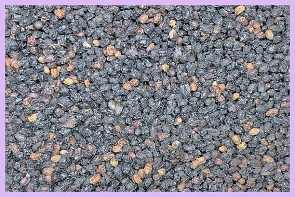 Organic Elderberries
