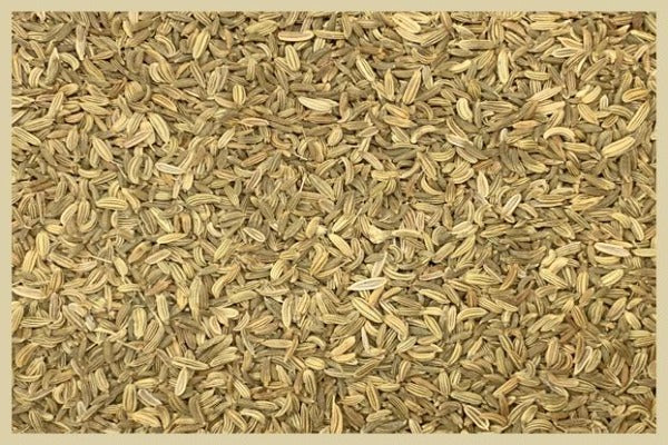 Organic Fennel Seeds