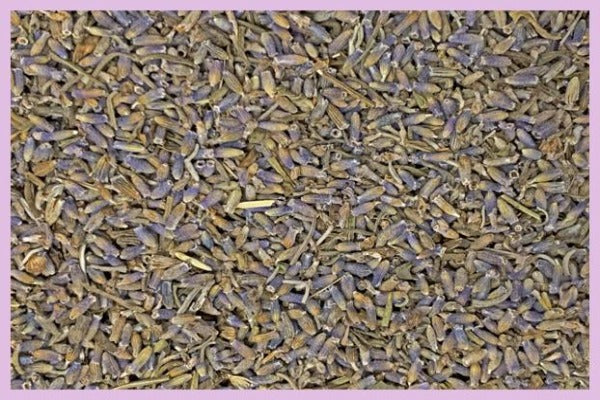 Organic Lavender Flower