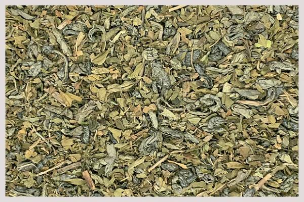 Organic Moroccan Mint