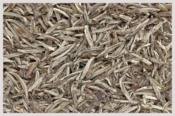 Organic Silver Needle
