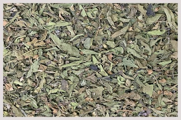 Organic Tulsi - Krishna